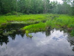Culvert Crossing, Wedgwood Brook at Pendexter Rd, Parsonsfield, Maine