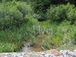 Culvert Crossing, Weeks Brook at Anderson Rd, Windham, Maine