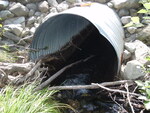 Culvert Crossing, Weeks Brook at Route 11, Patten, Maine