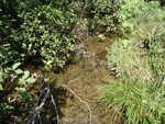 Culvert Crossing, Weeks Brook at Route 11, Patten, Maine