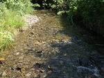 Culvert Crossing, Weeks Brook at Unnamed, Patten, Maine