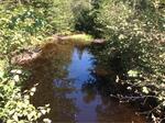 Culvert Crossing, West Branch Black Stream at Browns Corner Rd, Canaan, Maine