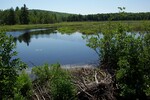 Culvert Crossing, West Branch Dead Stream at Stagecoach Road, Atkinson, Maine
