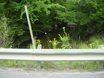 Culvert Crossing, West Branch Eastern River at Cooper Rd, Whitefield, Maine