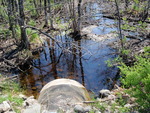 Culvert Crossing, West Branch Molunkus at Station Road, Stacyville, Maine