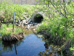 Culvert Crossing, West Branch Molunkus at Station Road, Stacyville, Maine