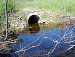 Culvert Crossing, West Branch Molunkus at Station Road, Stacyville, Maine