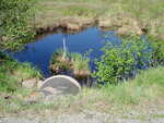 Culvert Crossing, West Branch Molunkus at Station Road, Stacyville, Maine