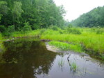 Culvert Crossing, West Branch Tenmile River at Porterfield Rd, Porter, Maine