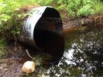 Culvert Crossing, West Branch To Davis Stream at Crummet Mnt Rd, Somerville, Maine
