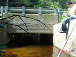 Culvert Crossing, West Cathance Stream at Main St, Bowdoin, Maine
