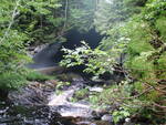 Culvert Crossing, West Seboeis Stream at Route 11, Long A Twp, Maine