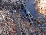 Culvert Crossing, Westcott Brook at Route 237, Gorham, Maine