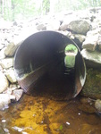 Culvert Crossing, Whaleback Brook at Norton Rd, Limington, Maine