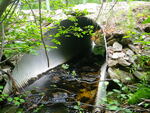 Culvert Crossing, Whaleback Brook at Route 117, Limington, Maine