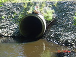 Culvert Crossing, Whiskeag Creek at Old Brunswick, West Bath, Maine