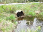 Culvert Crossing, Whitney Brook at Greenfield Road, Greenbush, Maine