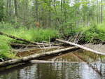Culvert Crossing, Whittier Brook at Kimball Pond Rd, New Sharon, Maine