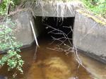 Culvert Crossing, Wiley Brook at Route 129, South Bristol, Maine