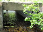 Culvert Crossing, Williams Brook at Back Brownville Rd, Brownville, Maine