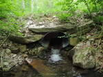 Culvert Crossing, Willow Brook at Number Six Rd, Oxford, Maine