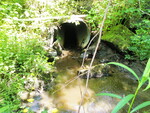 Culvert Crossing, Willow Brook at Spurwink Ave, Cape Elizabeth, Maine