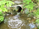 Culvert Crossing, Willow Brook at Spurwink Ave, Cape Elizabeth, Maine