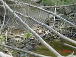 Culvert Crossing, Wilmot Brook at Route 27, Richmond, Maine