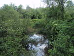Culvert Crossing, Wilson Stream at Lucy Knowles Road, Farmington, Maine