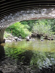Culvert Crossing, Wilson Stream at Old Lewiston Rd, Monmouth, Maine