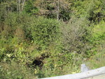 Culvert Crossing, Woodman Brook at Route 69, Etna, Maine