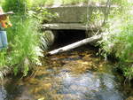 Culvert Crossing, Worthley Brook at Spring Water Rd, Poland, Maine