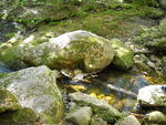 Ford Crossing, Goose Eye Brook at Unknown, Riley Twp, Maine