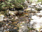 Ford Crossing, Goose Eye Brook at Unknown, Riley Twp, Maine