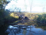 Multiple Culvert Crossing at Alfred Rd, Arundel, Maine
