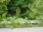 Multiple Culvert Crossing at Andrews Rd, Wales, Maine