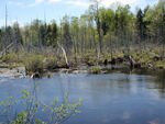Multiple Culvert Crossing at Aroostook Road, T1 R5 WELS, Maine