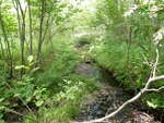 Multiple Culvert Crossing at Back Belmont Rd, Belfast, Maine