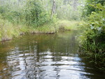 Multiple Culvert Crossing at Back Rd, Lexington Twp, Maine