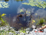 Multiple Culvert Crossing at Bay Pt Rd, Georgetown, Maine