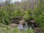 Multiple Culvert Crossing at Bog Brook Road, Crystal, Maine