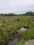 Multiple Culvert Crossing at Bog Brook Road, Crystal, Maine