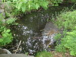 Multiple Culvert Crossing at Bowdoin St, Millinocket, Maine