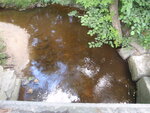 Multiple Culvert Crossing at Branch Brook Run, Wells, Maine