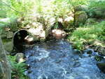 Multiple Culvert Crossing at Branchview Dr, Ellsworth, Maine