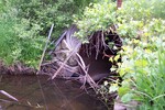 Multiple Culvert Crossing at Campbell Road, Garland, Maine