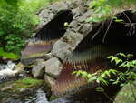 Multiple Culvert Crossing at Castine Road, Orland, Maine