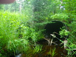 Multiple Culvert Crossing at Chase Rd, Parsonsfield, Maine