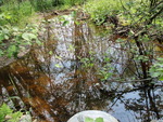 Multiple Culvert Crossing at Chesterville Ridge Road, Fayette, Maine