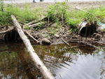 Multiple Culvert Crossing at Chesterville Ridge Road, Fayette, Maine